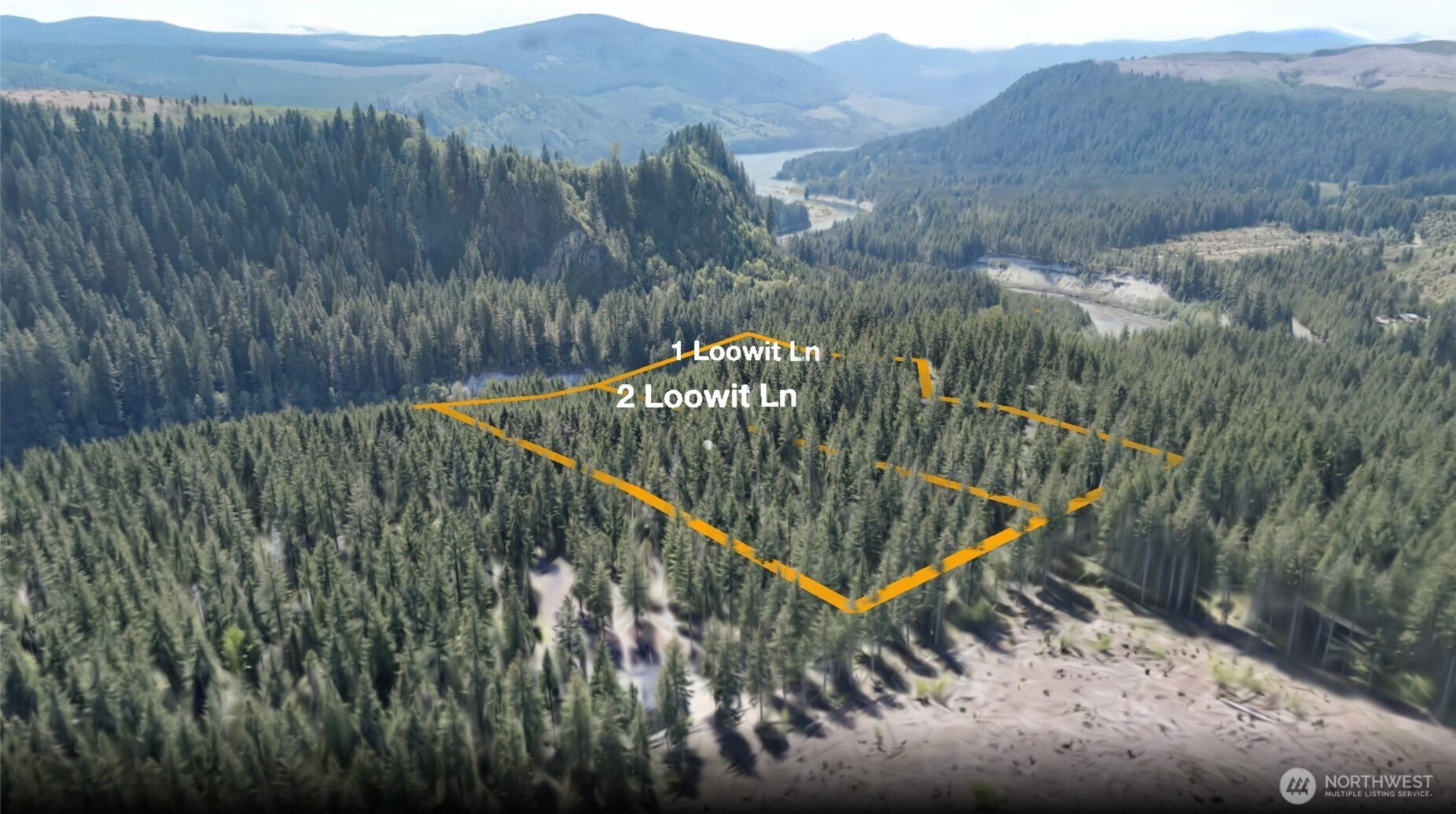 2 Loowit Lane , Cougar, WA 98616