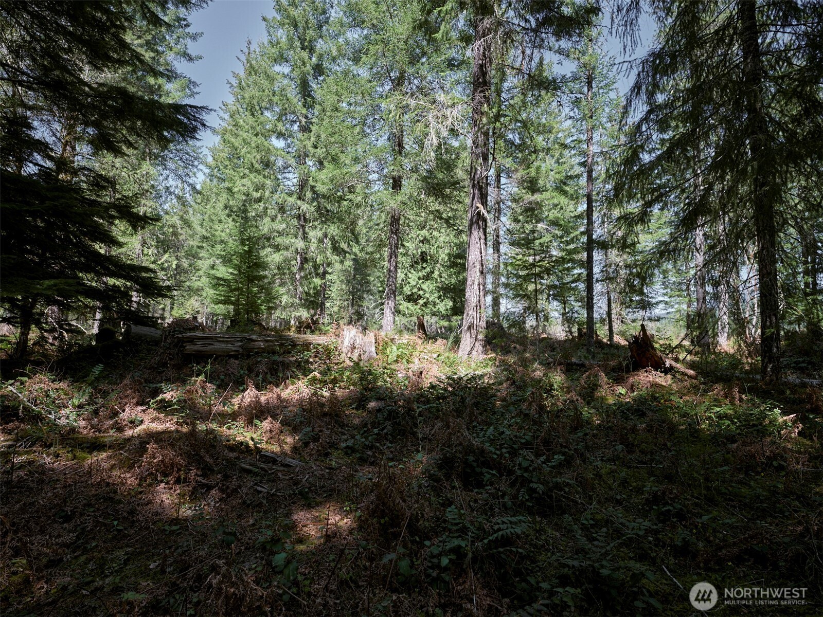 2 Loowit Lane , Cougar, WA 98616