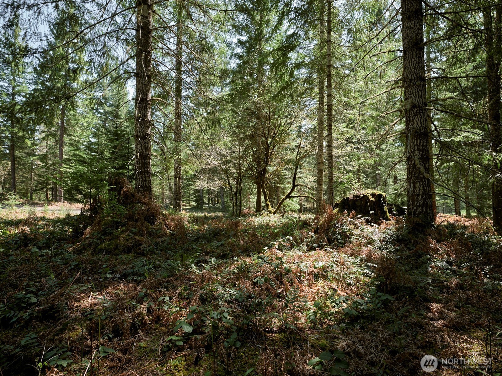 2 Loowit Lane , Cougar, WA 98616