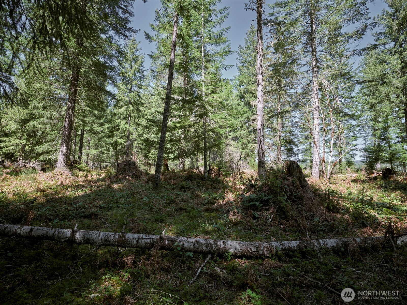 2 Loowit Lane , Cougar, WA 98616