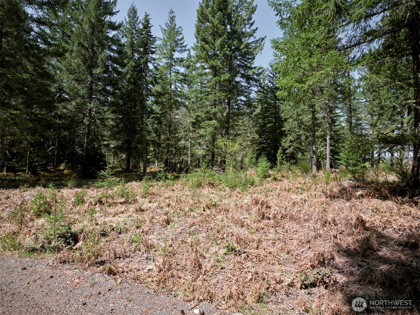 2 Loowit Lane , Cougar, WA 98616