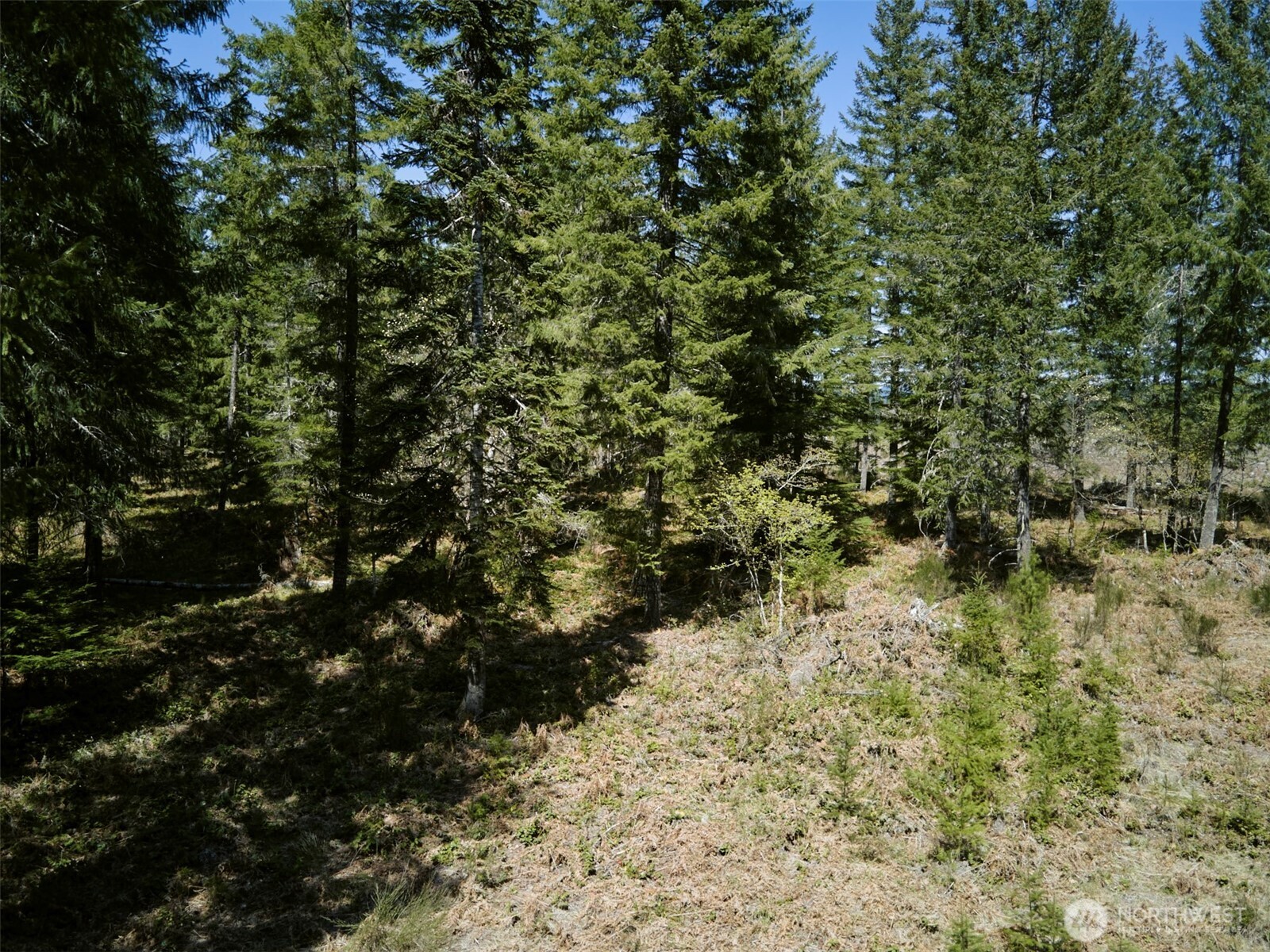 2 Loowit Lane , Cougar, WA 98616
