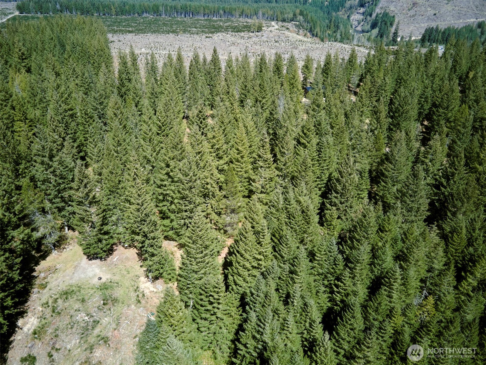 2 Loowit Lane , Cougar, WA 98616