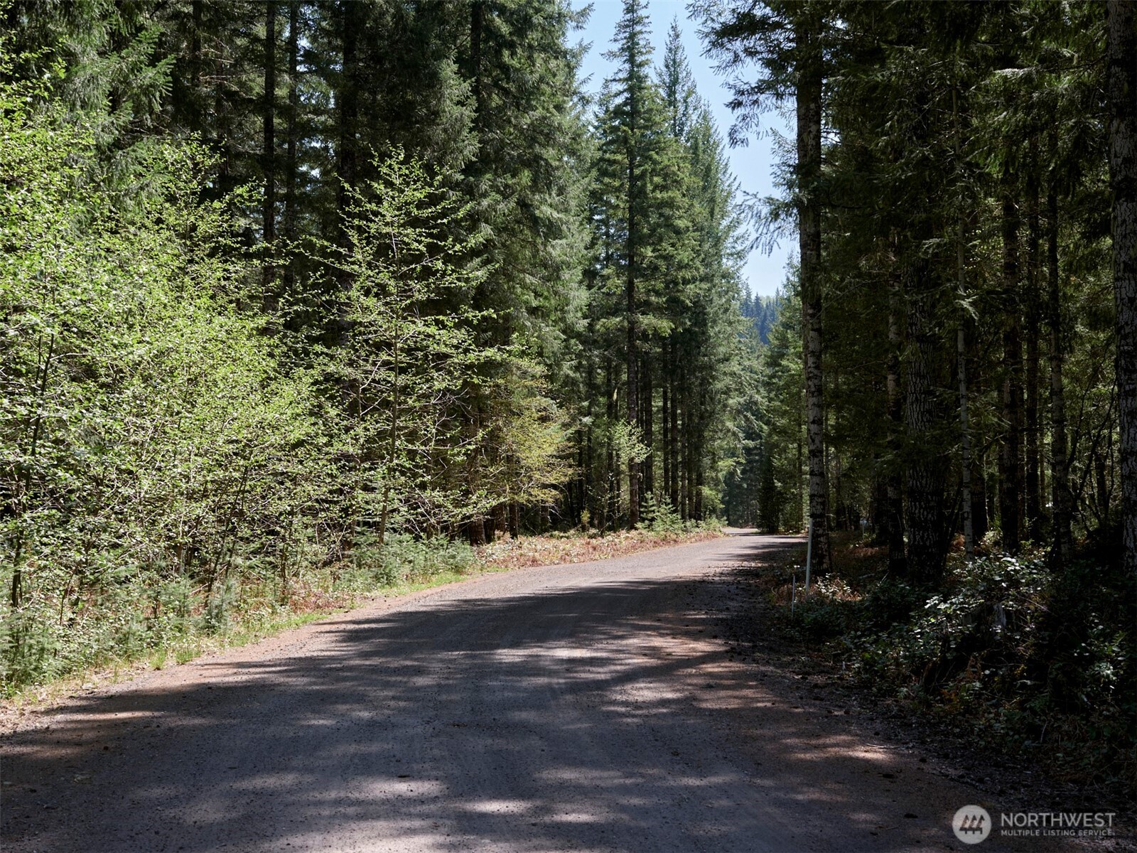 2 Loowit Lane , Cougar, WA 98616