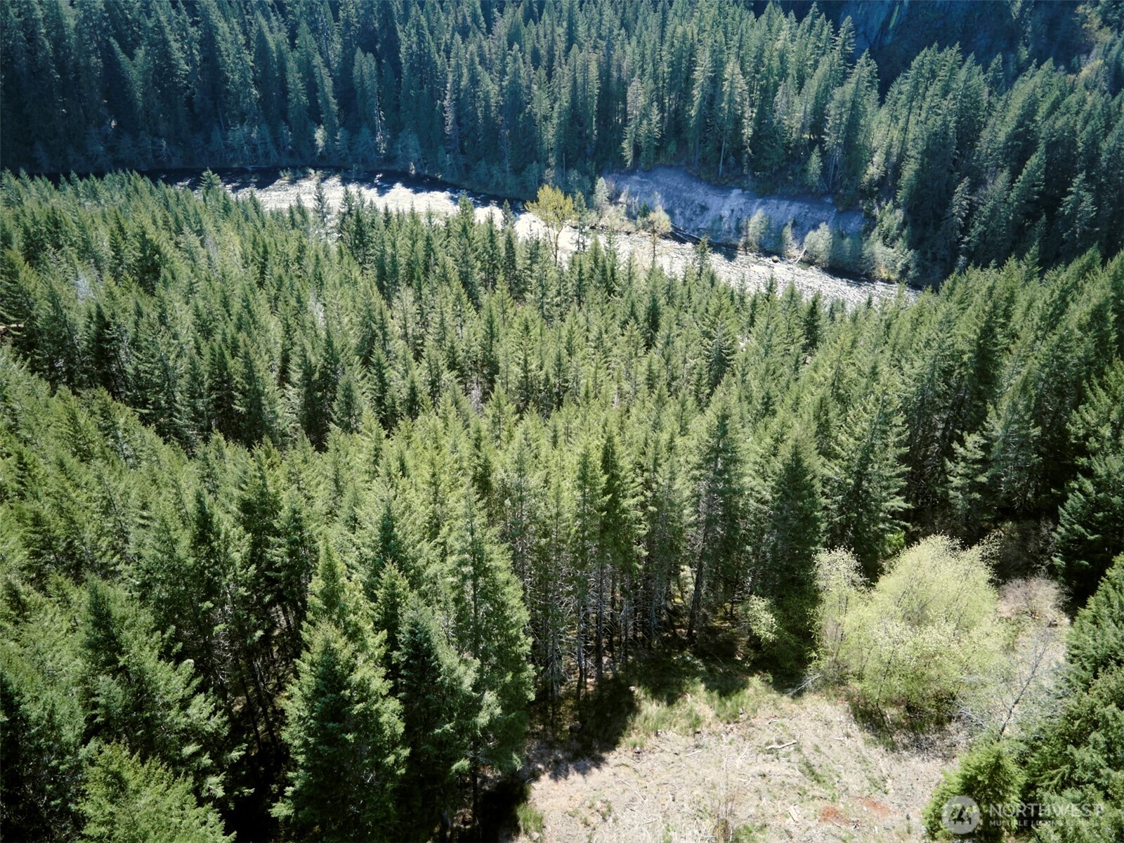 2 Loowit Lane , Cougar, WA 98616