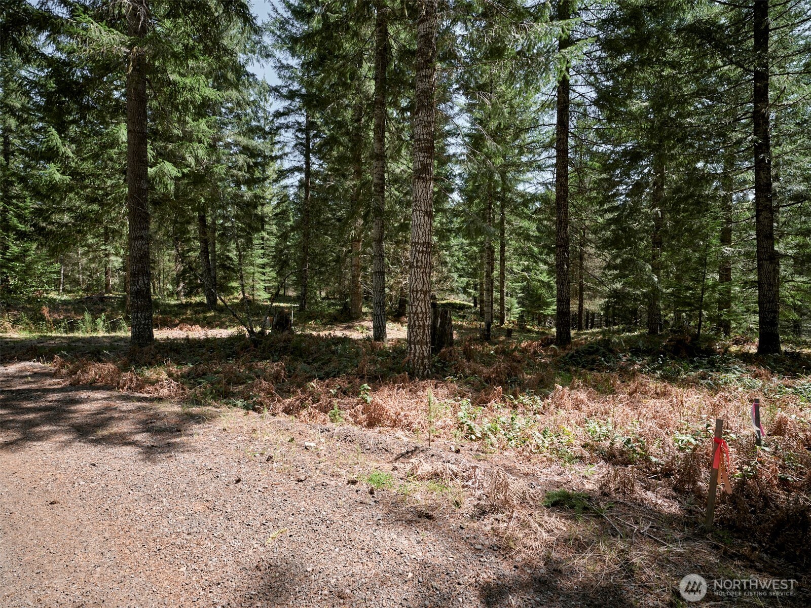 2 Loowit Lane , Cougar, WA 98616