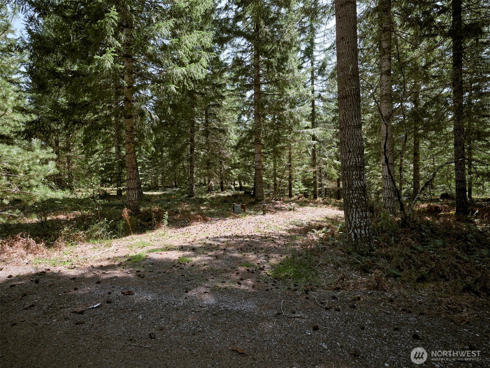 2 Loowit Lane , Cougar, WA 98616