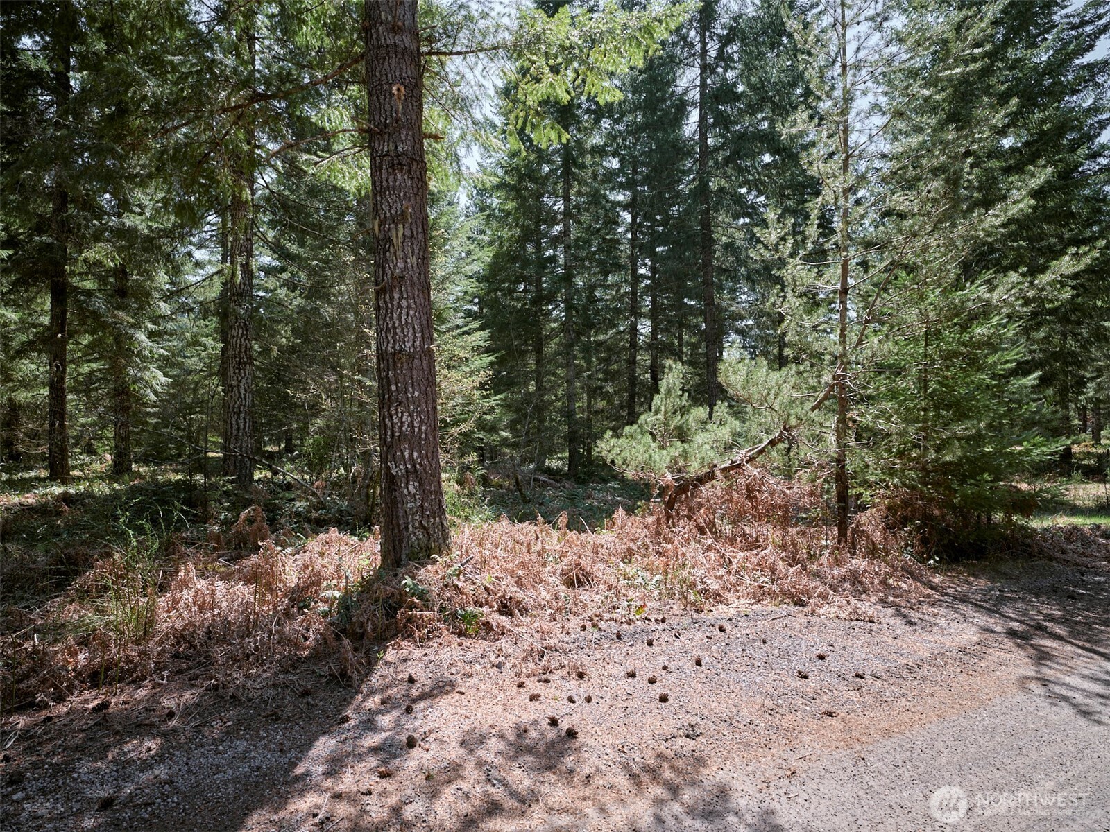 2 Loowit Lane , Cougar, WA 98616