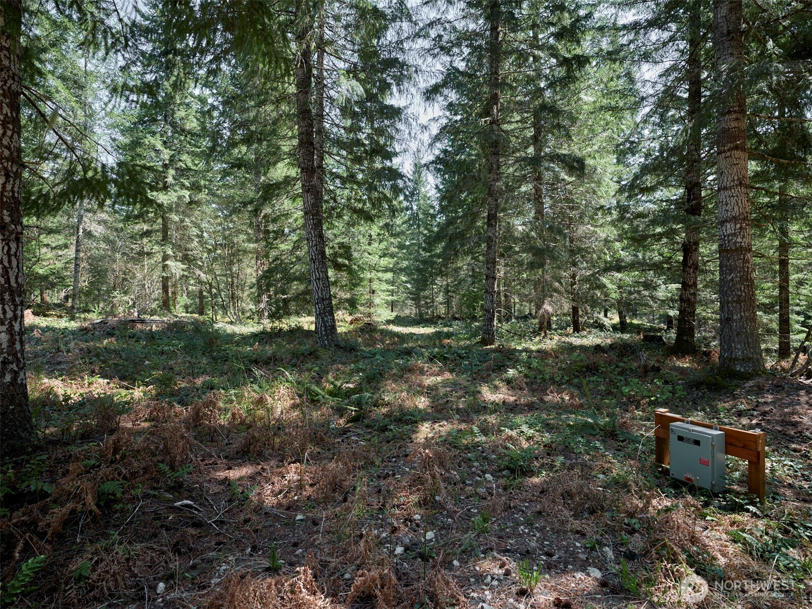2 Loowit Lane , Cougar, WA 98616