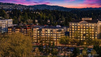 10042 Main Street #427, Bellevue, WA 98004-6046 - Photo 30