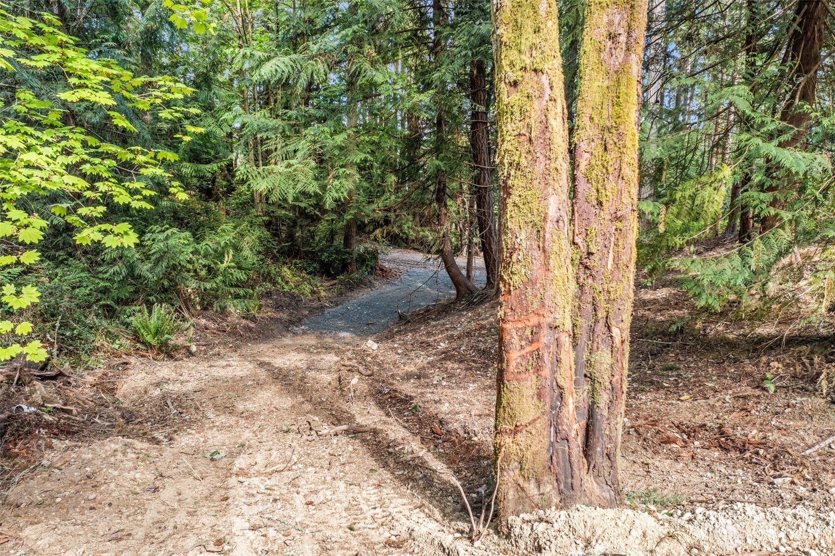 0 School Street NE, Bremerton, WA 98311