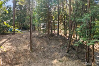 0 School Street NE, Bremerton, WA 98311 - Photo 6