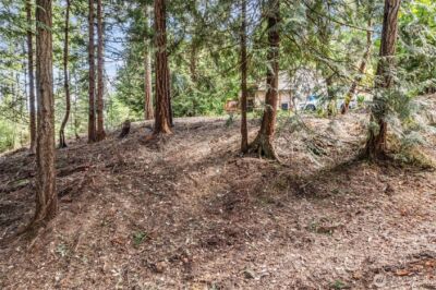 0 School Street NE, Bremerton, WA 98311 - Photo 9