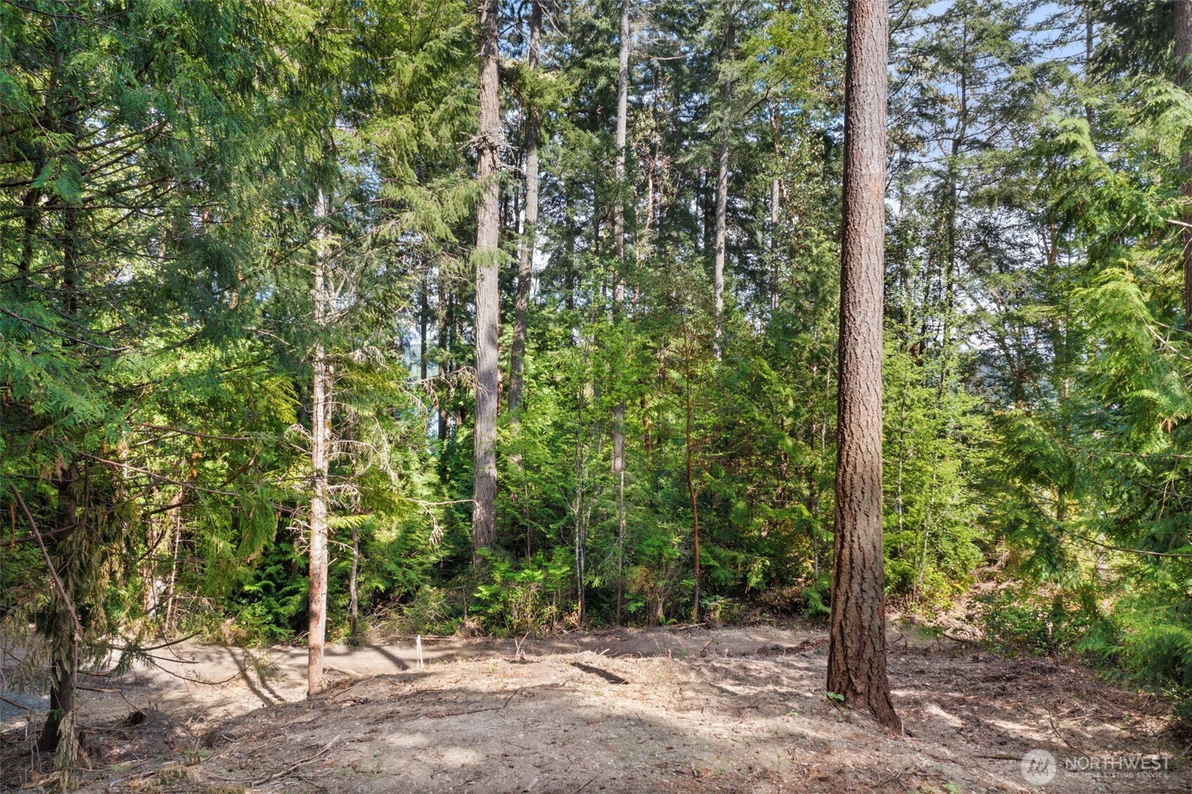 0 School Street NE, Bremerton, WA 98311