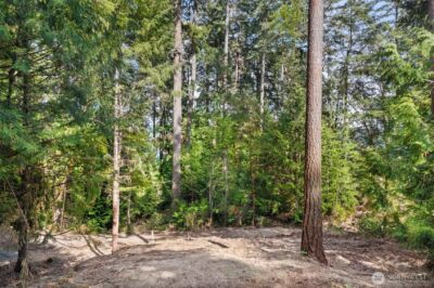 0 School Street NE, Bremerton, WA 98311 - Photo 10