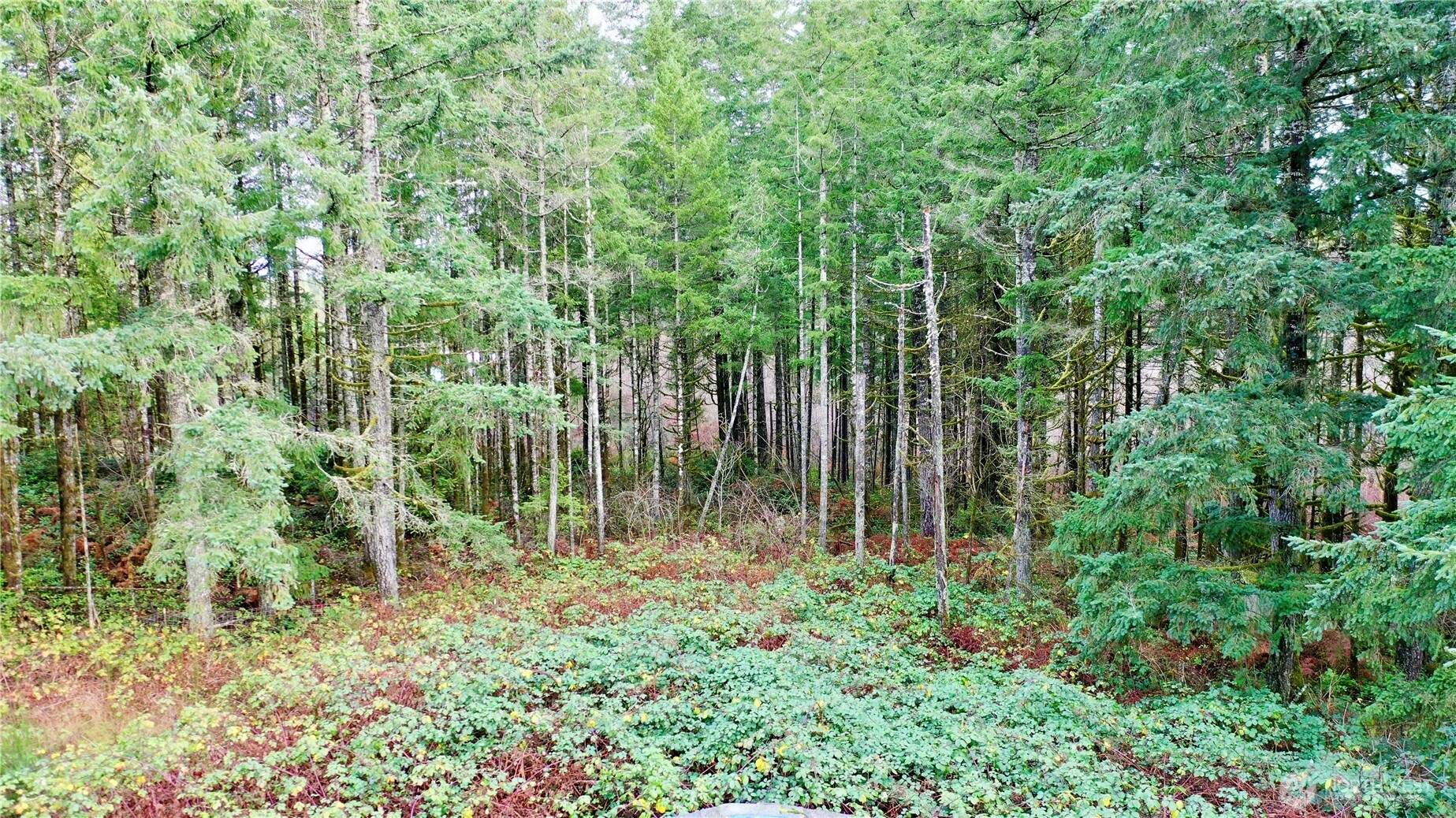 10185 May Ranch Lane SW, Port Orchard, WA 98367