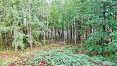 10185 May Ranch Lane SW, Port Orchard, WA 98367 - Photo 11