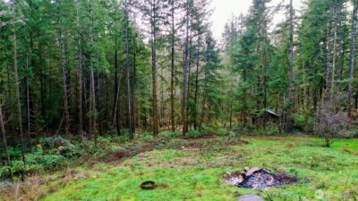 10185 May Ranch Lane SW, Port Orchard, WA 98367 - Photo 12