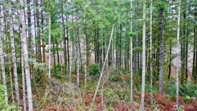 10185 May Ranch Lane SW, Port Orchard, WA 98367 - Photo 13