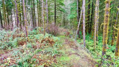 10185 May Ranch Lane SW, Port Orchard, WA 98367 - Photo 14