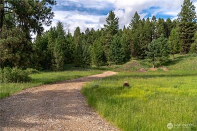 54 Spring Meadow Lane , Oroville, WA 98844 - Photo 8