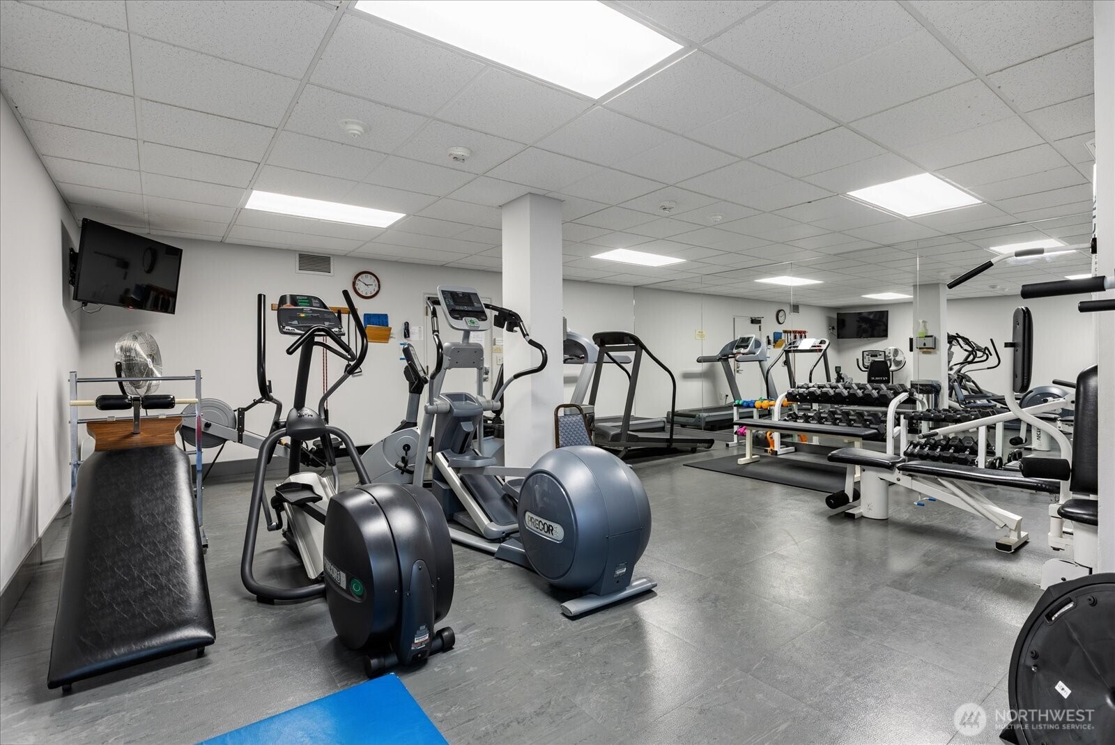 6533 Seaview Avenue NW #207A, Seattle, WA 98117