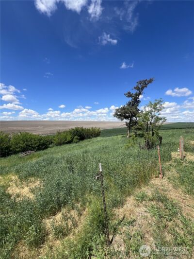 1225 Marcellus Road , Ritzville, WA 99169 - Photo 32