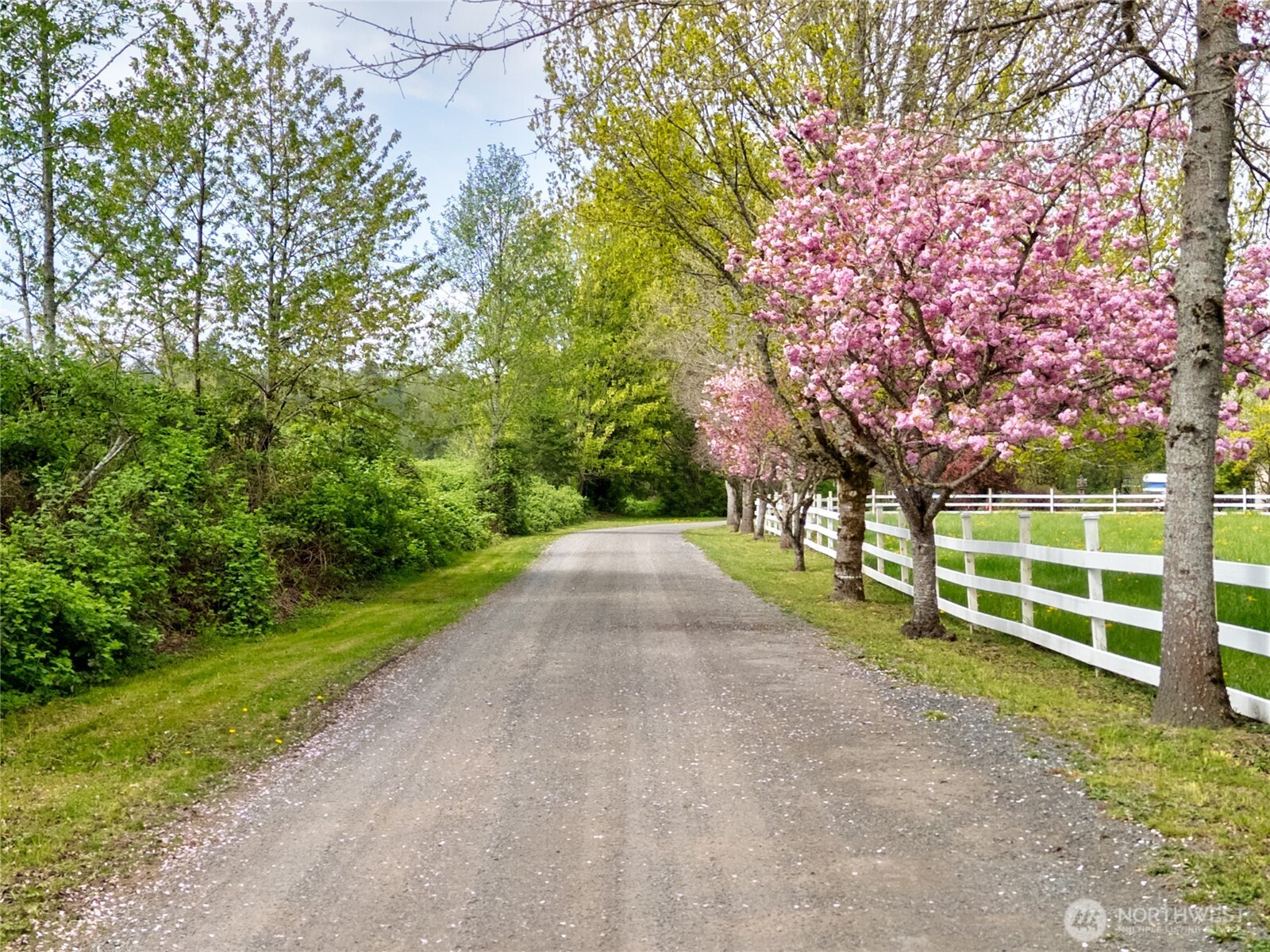 7492 Russell Road , Concrete, WA 98237