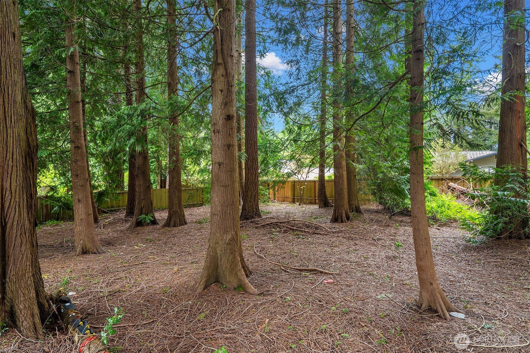 12030 NE 67th Street , Kirkland, WA 98033