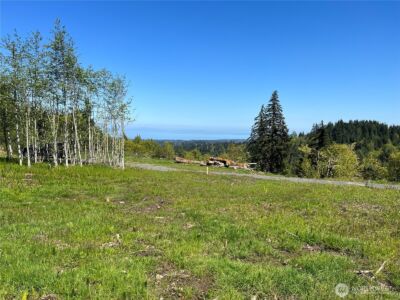 9999 E Half Mile Rd., Lot C , Port Angeles, WA 98362 - Photo 2