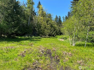 9999 E Half Mile Rd., Lot C , Port Angeles, WA 98362 - Photo 3