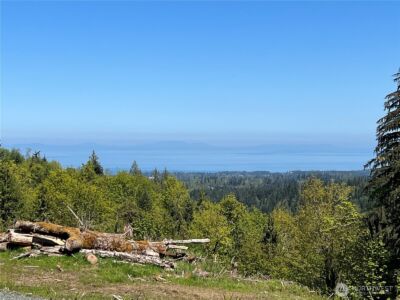 9999 E Half Mile Rd., Lot C , Port Angeles, WA 98362 - Photo 4