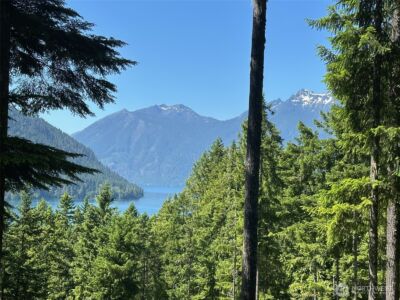 5156 N Lake Cushman Road , Hoodsport, WA 98548 - Photo 1
