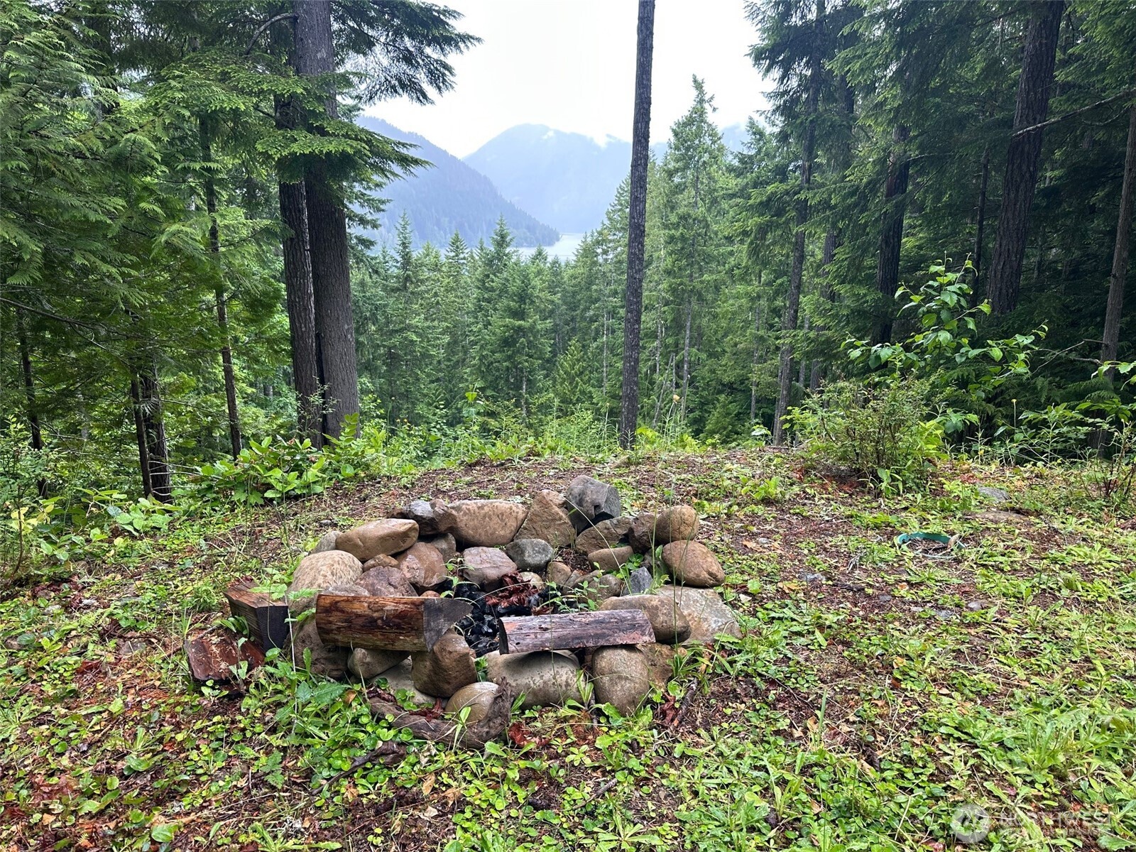 5156 N Lake Cushman Road , Hoodsport, WA 98548