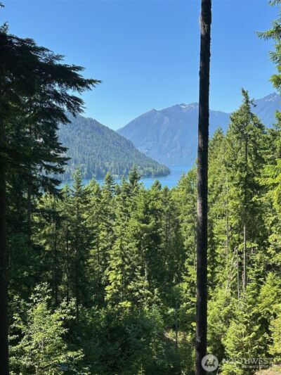 5156 N Lake Cushman Road , Hoodsport, WA 98548 - Photo 16