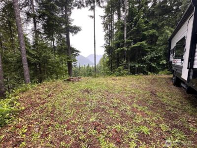 5156 N Lake Cushman Road , Hoodsport, WA 98548 - Photo 3