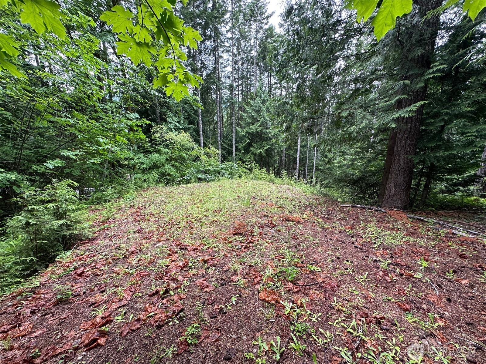 5156 N Lake Cushman Road , Hoodsport, WA 98548