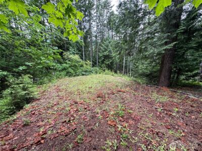 5156 N Lake Cushman Road , Hoodsport, WA 98548 - Photo 5