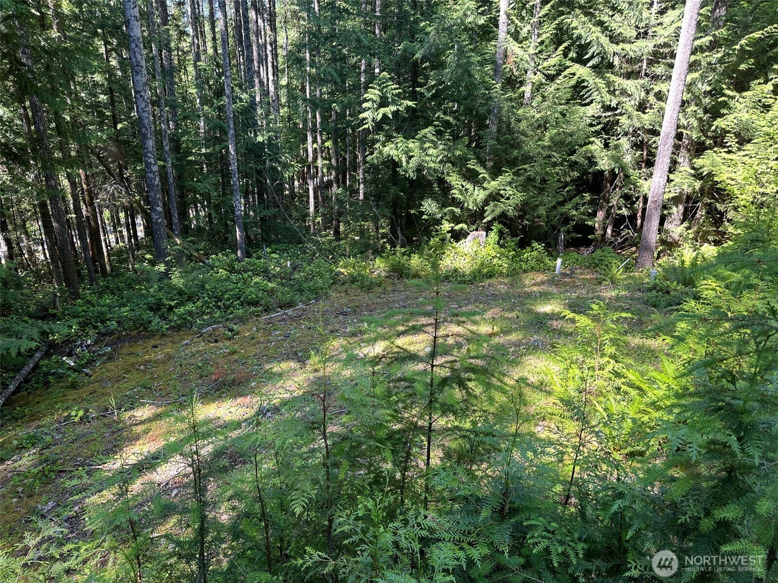 5156 N Lake Cushman Road , Hoodsport, WA 98548
