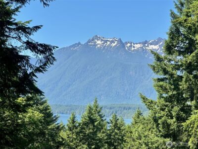5154 N Lake Cushman Road , Hoodsport, WA 98548 - Photo 1