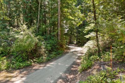 5154 N Lake Cushman Road , Hoodsport, WA 98548 - Photo 16