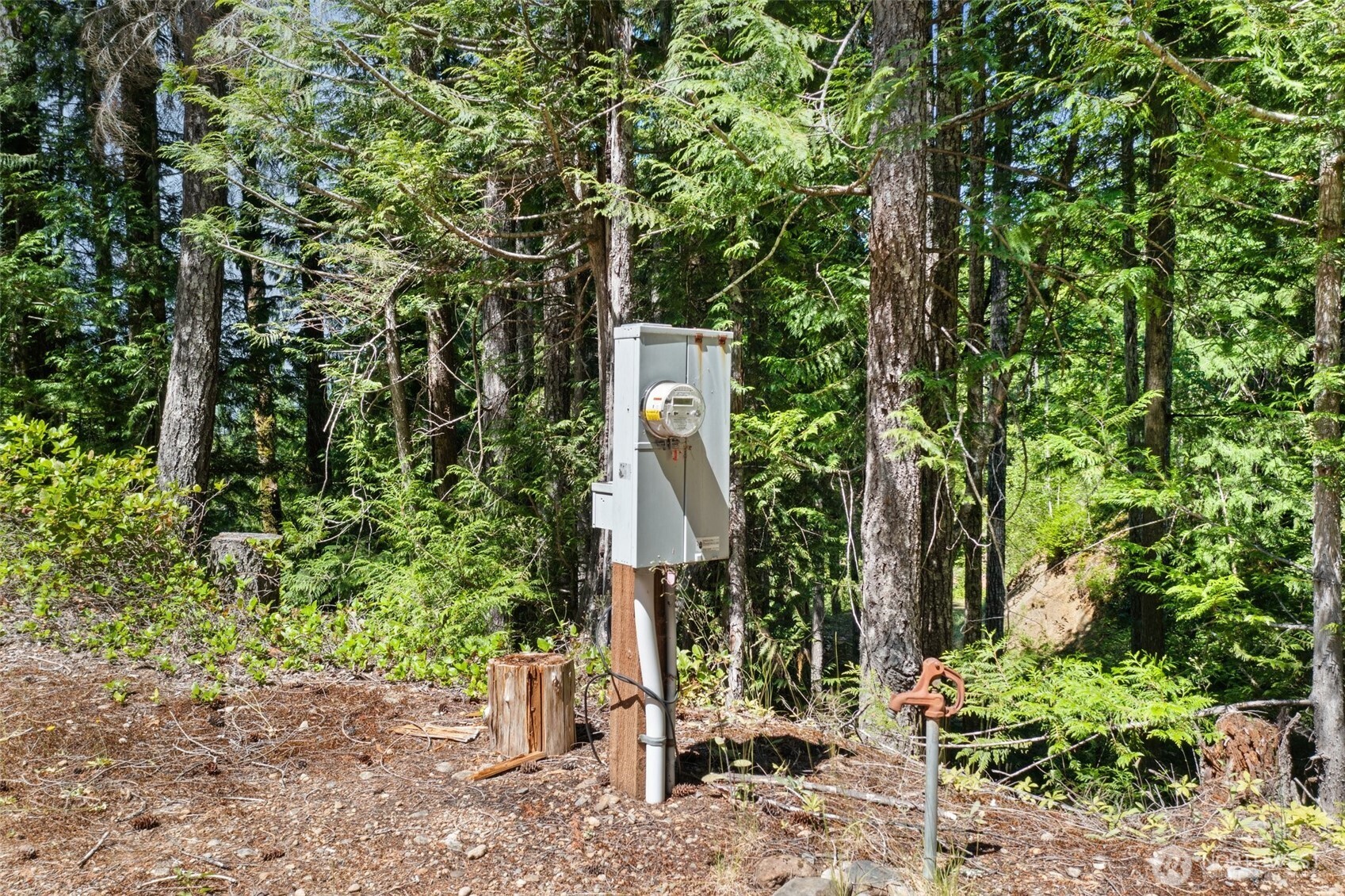 5154 N Lake Cushman Road , Hoodsport, WA 98548