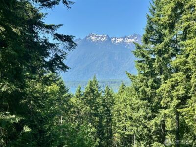 5154 N Lake Cushman Road , Hoodsport, WA 98548 - Photo 2