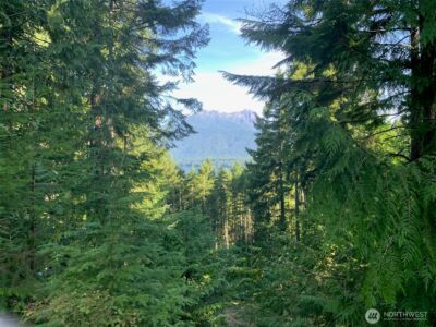 5154 N Lake Cushman Road , Hoodsport, WA 98548 - Photo 22