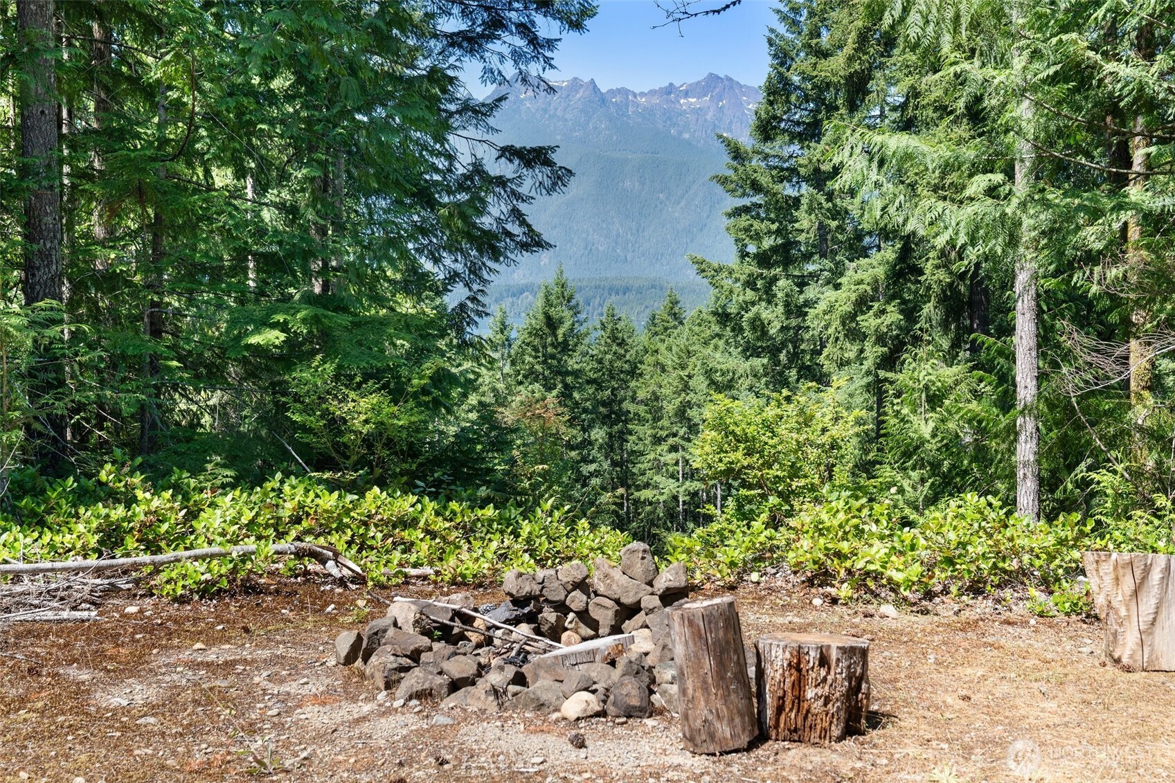 5154 N Lake Cushman Road , Hoodsport, WA 98548
