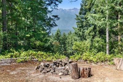5154 N Lake Cushman Road , Hoodsport, WA 98548 - Photo 4