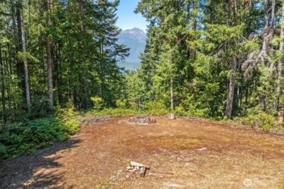 5154 N Lake Cushman Road , Hoodsport, WA 98548 - Photo 5
