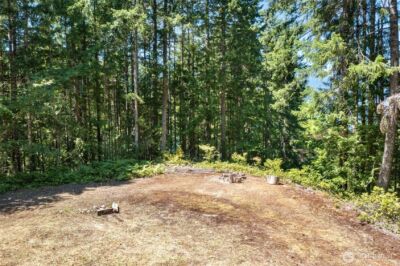 5154 N Lake Cushman Road , Hoodsport, WA 98548 - Photo 7