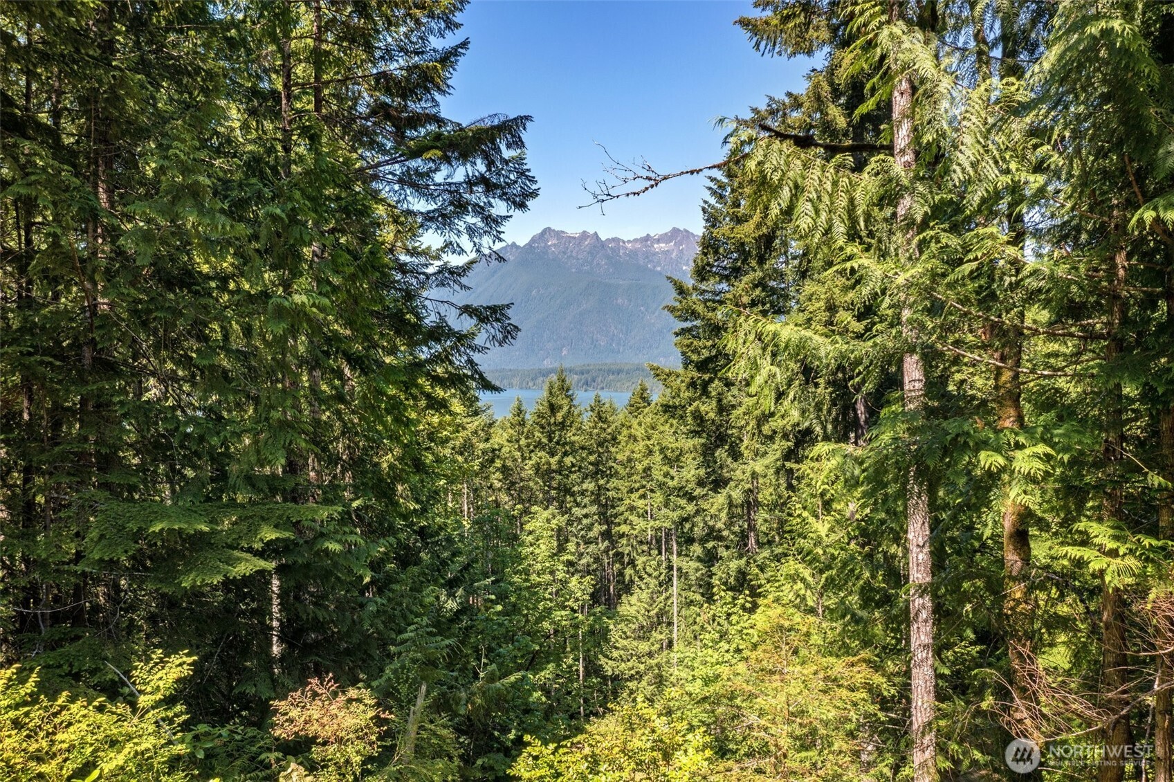 5154 N Lake Cushman Road , Hoodsport, WA 98548