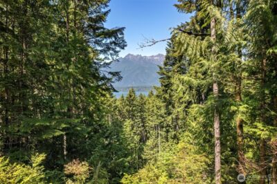 5154 N Lake Cushman Road , Hoodsport, WA 98548 - Photo 8